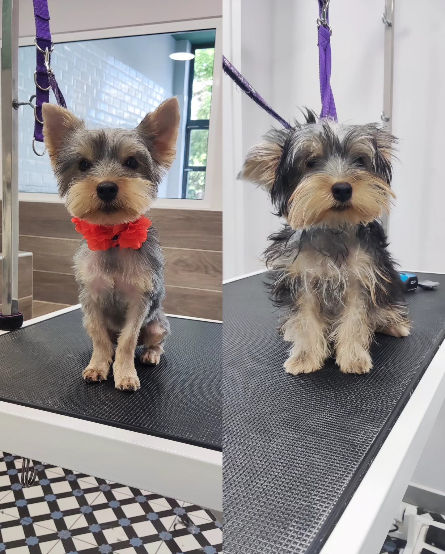 Grooming transformation