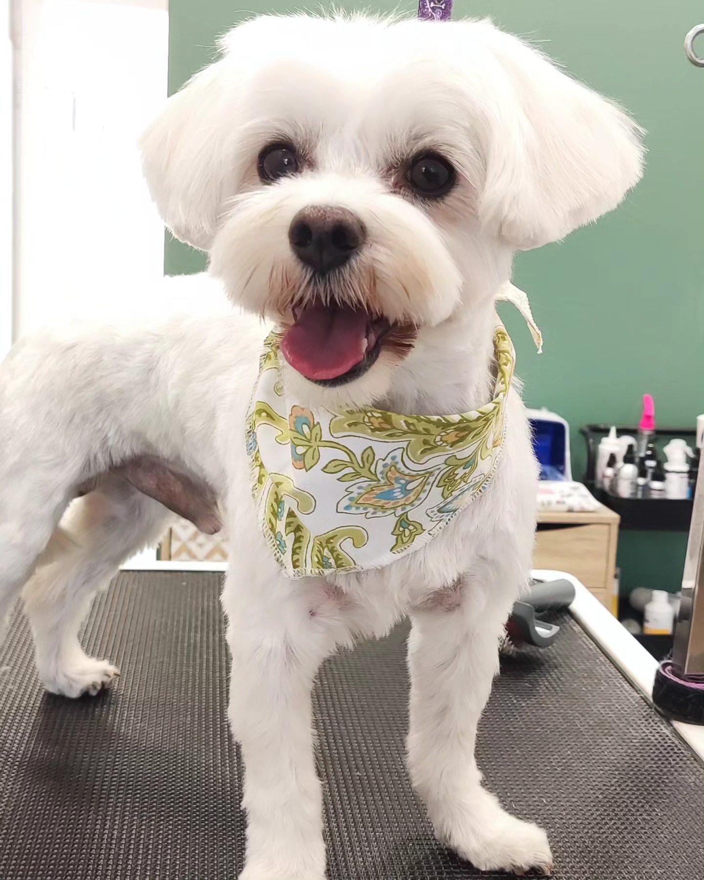 Floof Instagram post