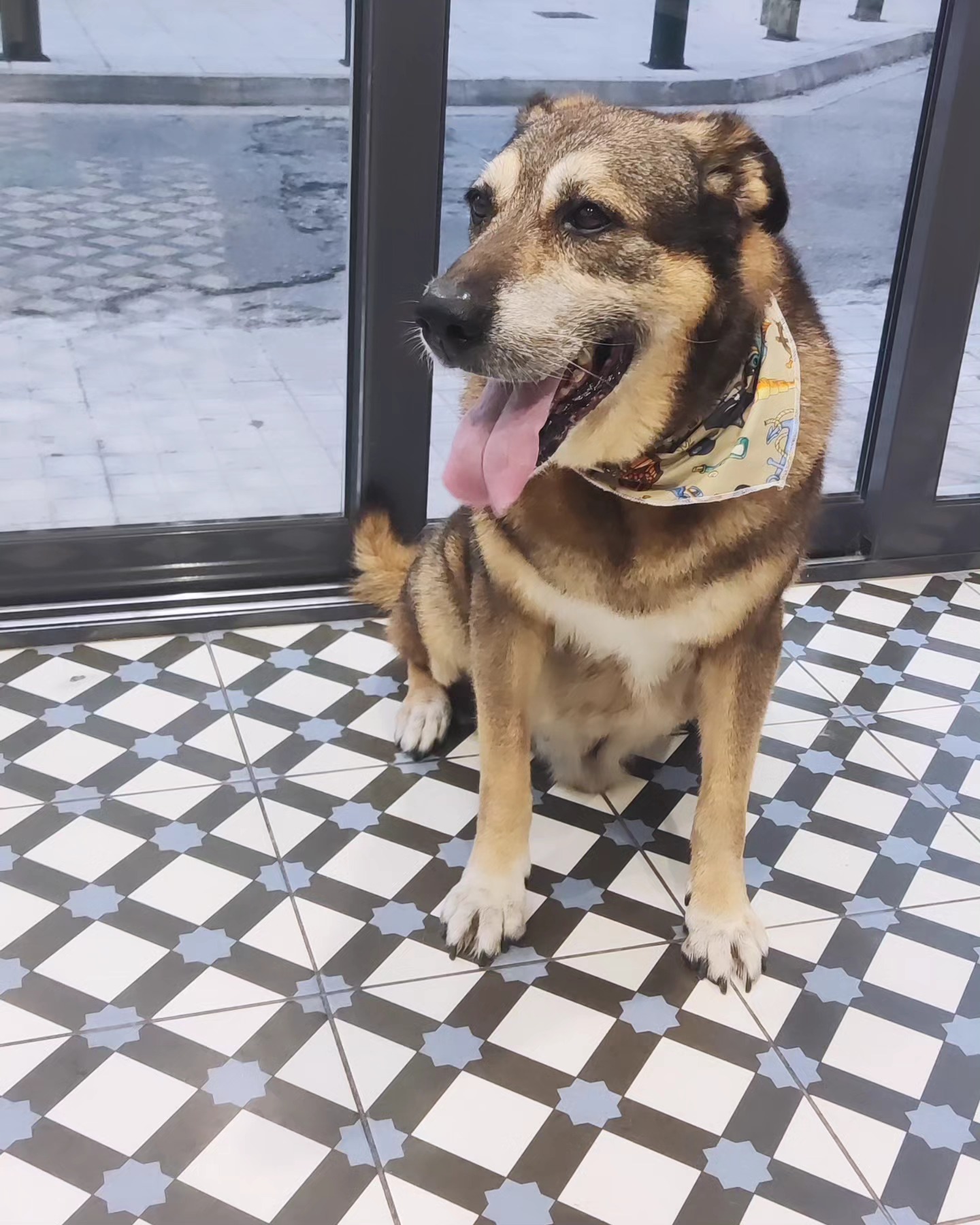 Floof Instagram post