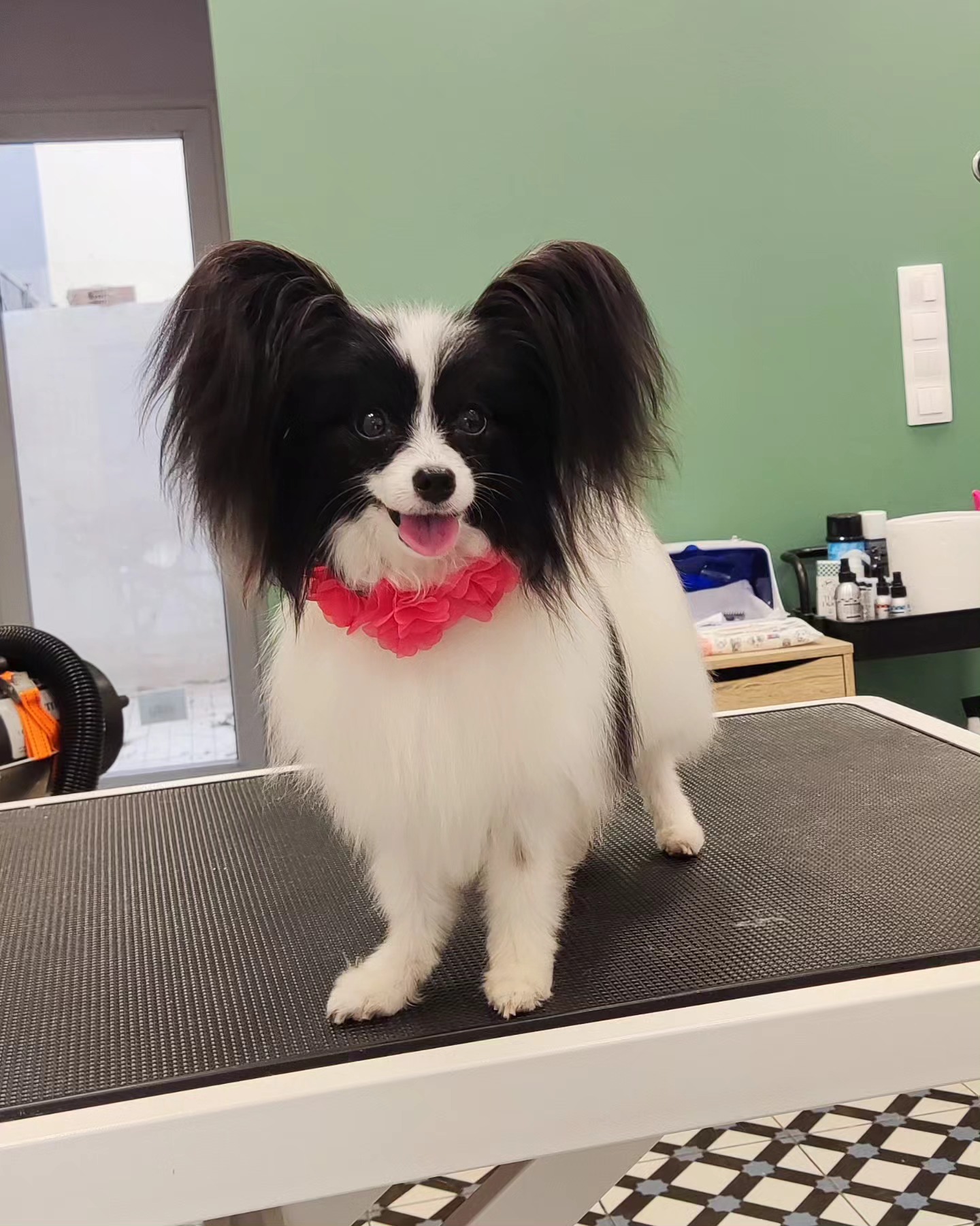 Floof Instagram post